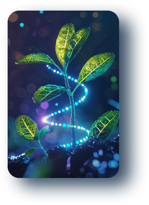 abstract image